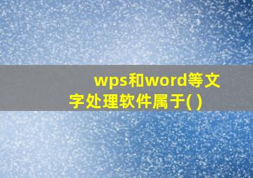 wps和word等文字处理软件属于( )